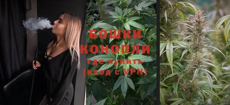 Конопля OG Kush  купить   Бобров 